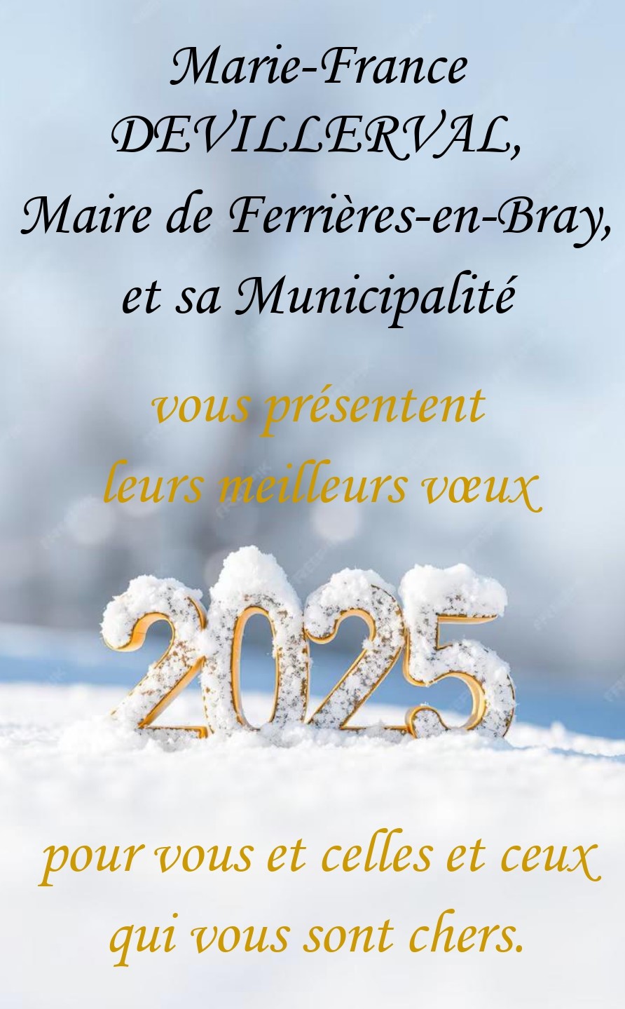 Affiche voeux 2025