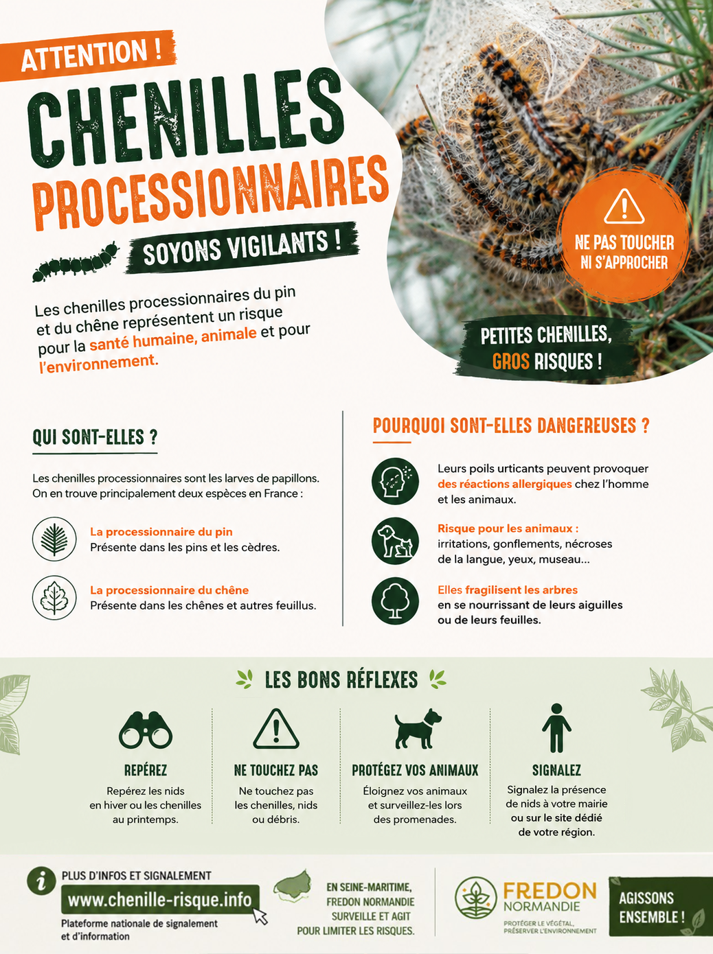 Affiche chenilles processionnaires