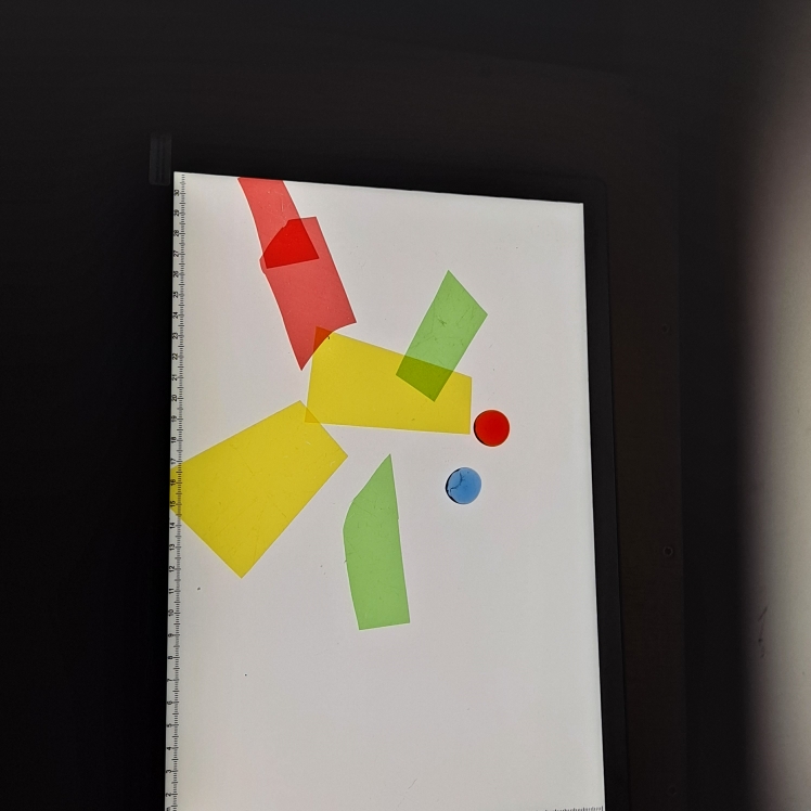 Expo 5
